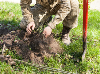 A soldier, a man in a uniform of pixel color, is engaged in planting seedlings of trees