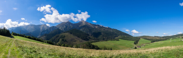 Fototapeta premium stradnica