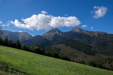 Fototapeta premium Strednica