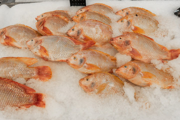 Fresh fish for sell display at stall at fresh market bangkok., thailand., with selective  focus on fish.