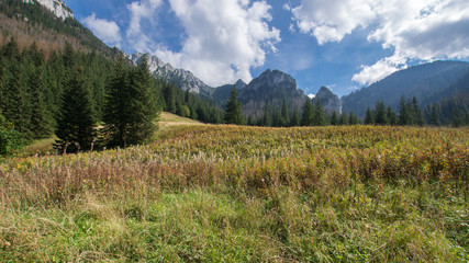 Dolina Strążyska