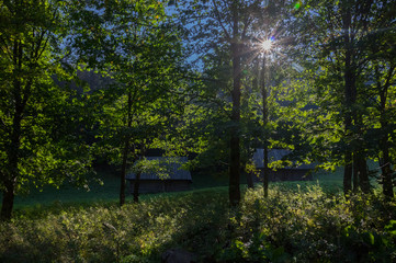 Fototapeta premium Dolina Strążyska