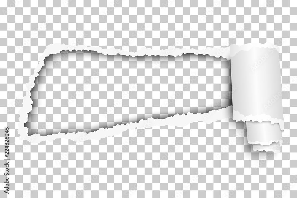 Wall mural torn, snatched hole in sheet of checkered transparent paper with paper curl. vector paper mock up.