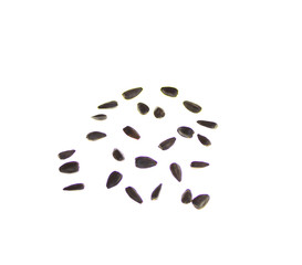 Black seeds on a white background scattered