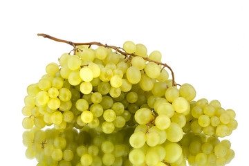 Bunch of white grapes on white mirror background isolated close up
