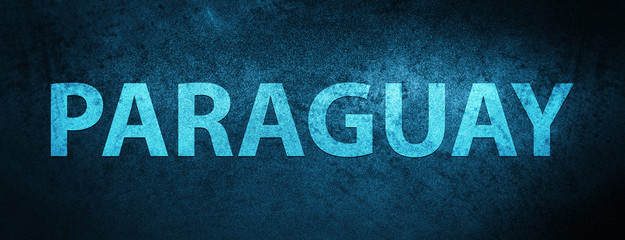 Obraz premium Paraguay special blue banner background