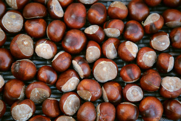 kastanien