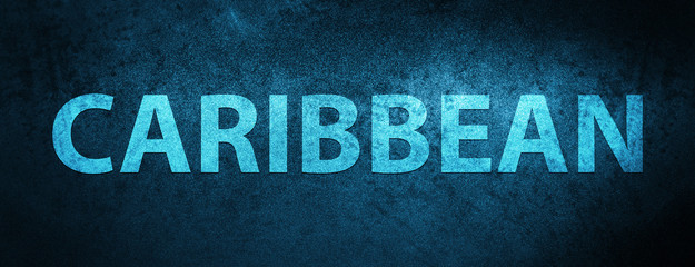 Caribbean special blue banner background