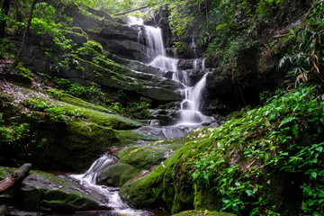 Fototapeta na wymiar waterfall among nature green moss and rock