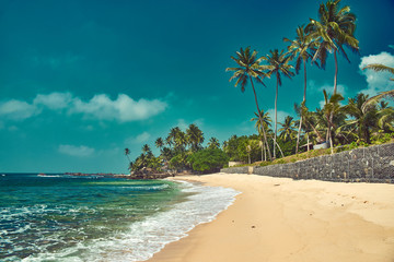 wonderful coast of the Indian Ocean in Sri Lanka