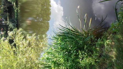 paysage au bord de la riviere