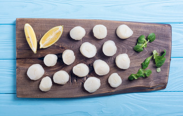 Raw scallops with salad