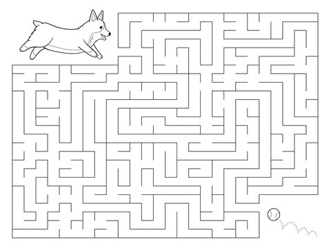 Maze game for kids. Help the Welsh Corgi dog find the right way to a ball. Coloring page. Preschool education. Hand drawn vector illustration.