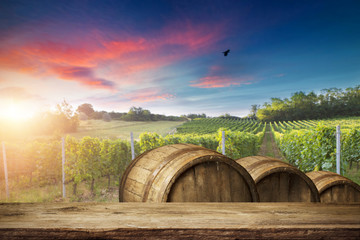 Obraz premium Ripe wine grapes on vines in Tuscany, Italy. Picturesque wine farm, vineyard. Sunset warm light