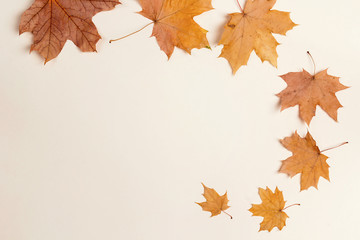 Naklejka na ściany i meble Autumn maple leaves on beige background. Flat lay, copy space.