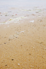 Water pollution in the sea, Dirty beach, Trash on the beach with selective focus