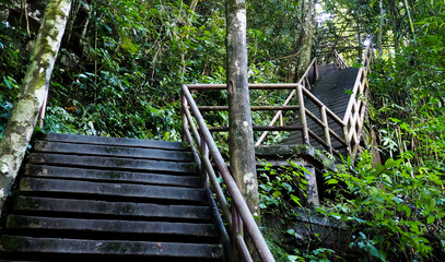 stair in nature