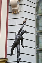 Statue and pigeon / Gdansk 2018 august 1 historic city center statue and pigeon