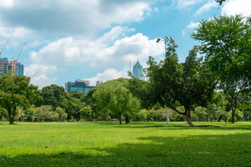 Park with blue sky and buildings in the background