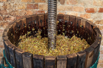 Grape harvest: Wine press with white must and helical screw