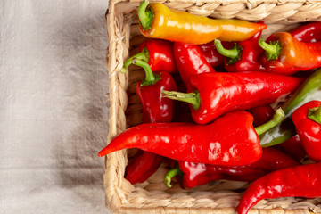 Harvest of red paprika in basket