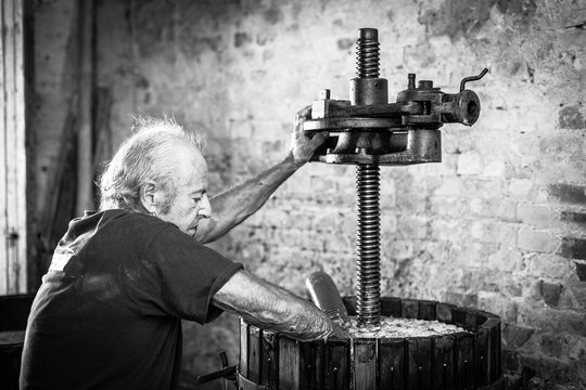 Senior winemaker farmer working on a traditional wine press. Winery background, black and white picture