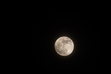 Naklejka na ściany i meble full moon, moon texture, shot on full moon day.