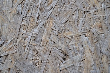 texture of wood