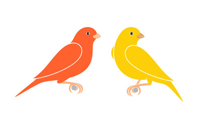 Canary logo. Isolated canary on white background
