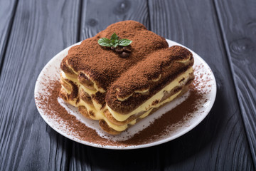 Homemade tiramisu cake