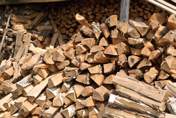 Stack of chopped birch and pine firewood