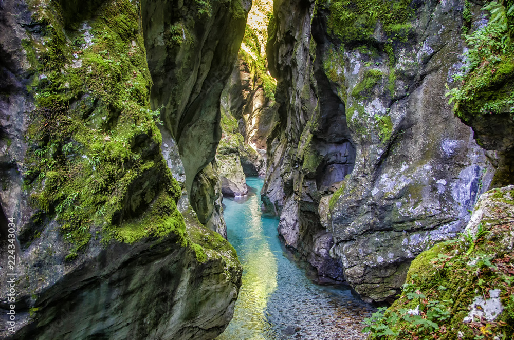 Poster crystal clear emerald mountain river