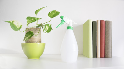 Water sprayer next to an interior home plant and some books on a shelf. White background and empty copy space for Editor's text.