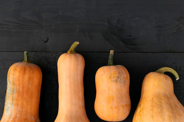 Butternut squashes varieties