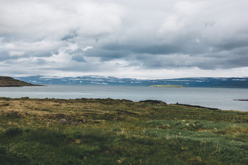 scenic with of green meadow over large lake in Iceland