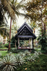 Thai pavilion in lush tropical garden with coconut tree green agave