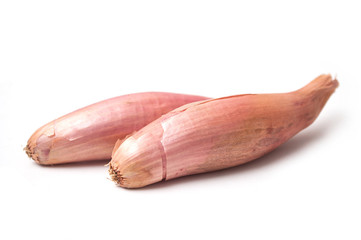 closeup of long Shallots on white background
