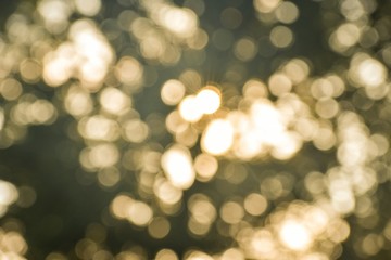 Obraz premium Abstract Bokeh Of Lights In The Sun