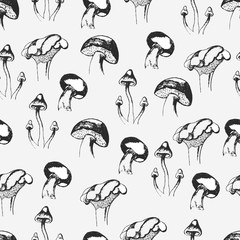 Основные RGBHand drawn mushrooms seamless pattern. Vector illustration.
