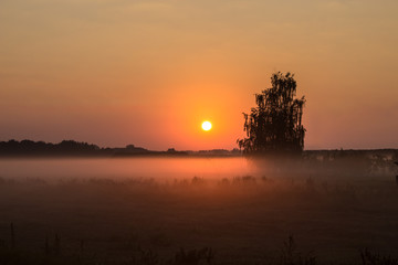 Туман утром на поле