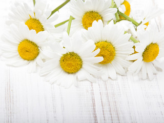 daisy flower on white wooden background, copy space