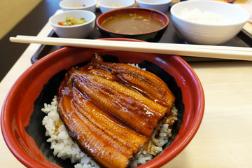 Grilled eel on rice in Japan.