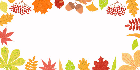 Hand drawn vector illustration with frame of autumn leaves, rowan berries, acorns. Isolated objects on white background. Flat style design. Concept for seasonal banner, poster, card.