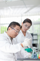 Fototapeta premium people working at laboratory