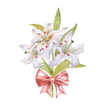 Watercolor bouquet of lily. White flowers and bow