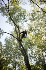 Man climbs up on a tree using ropes.The man is wearing safety equipment clothes