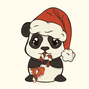 Cute Christmas panda bear in red Santa's hat with pompon eat sugar lollipop striped stick. Happy panda with candy cane. Bearcat in Christmas mood. Xmas card image. Merry Christmas and Happy New Year.