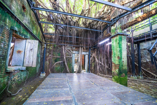 The Anping Tree House  is a former warehouse in Anping District, Tainan, Taiwan. The "treehouse" name refers to the living banyan roots and branches that cover the building.