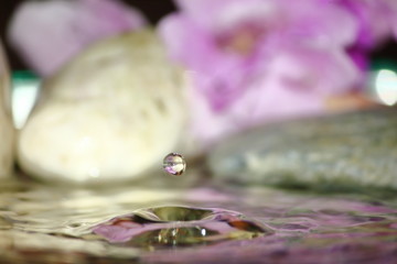 beautiful fresh drop water in fresh nature