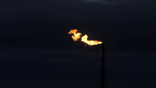 Gas flare of petrochemical refinery in twilight